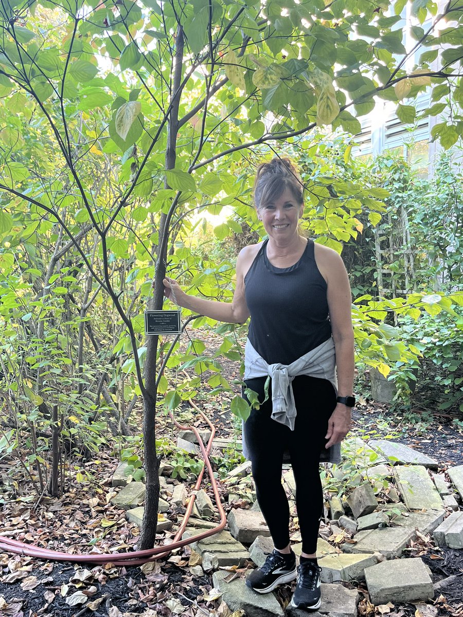 UEBiology's tweet photo. Today we dedicated a flowering dogwood in the Native Plant Garden to Brenda Goodin, retired administrative assistant for the Department of Biology. 🌿 Brenda, you will always be a part of our Biology family!! 💜 https://t.co/J3SosbgPZn