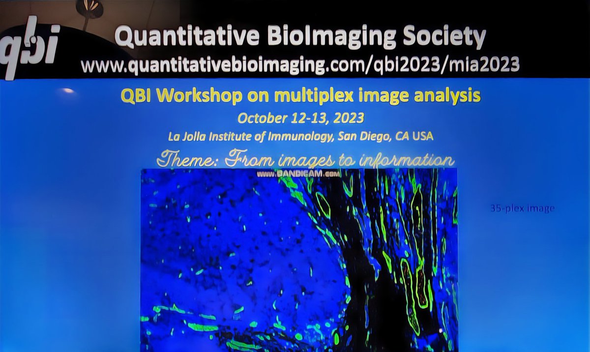 The Multiplex Image Analysis 2023 workshop is happening right now!