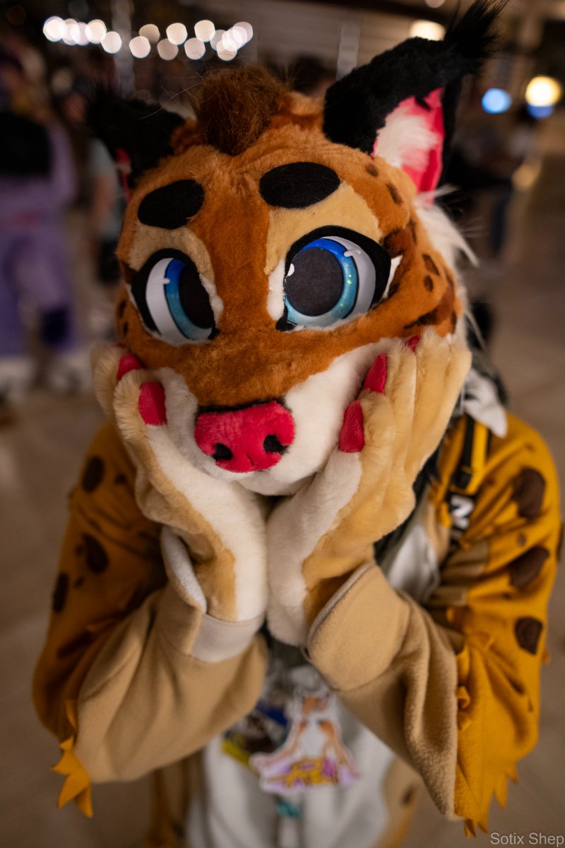 SotixShep's tweet photo. For this #fursuitfriday, I am posting my photo album from Furrydelphia 2023

https://t.co/Xt4lBlz3T9

#FD2023 #Furrydelphia2023
@Furrydelphia https://t.co/PbhDqTG5sK