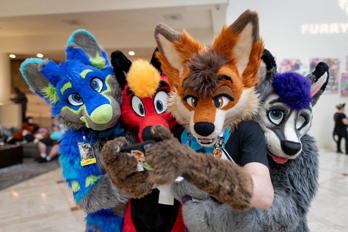 SotixShep's tweet photo. For this #fursuitfriday, I am posting my photo album from Furrydelphia 2023

https://t.co/Xt4lBlz3T9

#FD2023 #Furrydelphia2023
@Furrydelphia https://t.co/PbhDqTG5sK