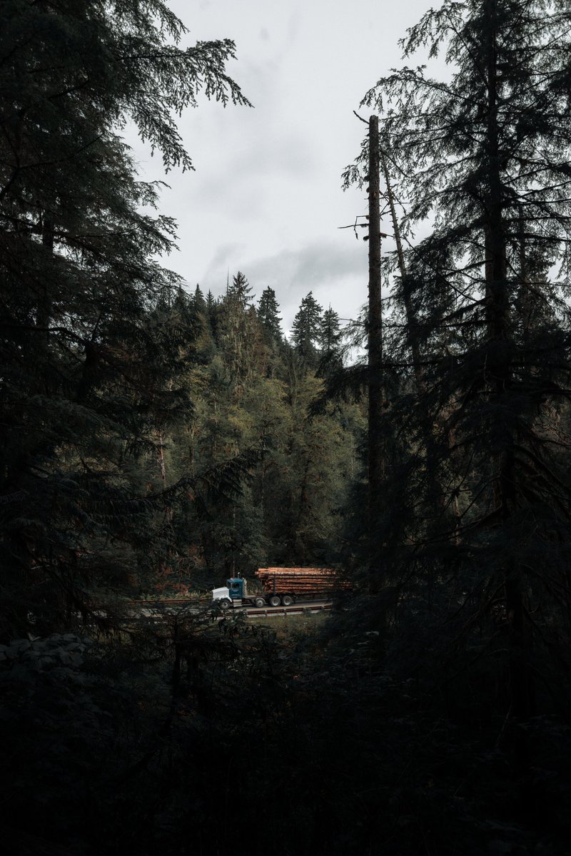 The PNW is something else