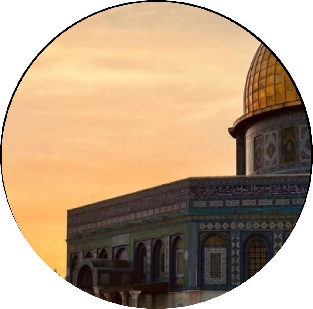 لعَيْنيها..                                         
مَدينتي التّي سُجنت                       
لمَسجدها                                        
لأقصاها                                           
لِحرمَتِها التي أنتهكت .