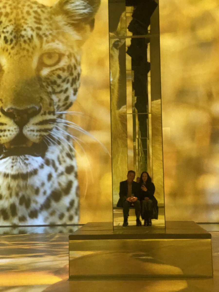 A great evening spent at the #PlanetEarthIII premiere. We got a sneak preview of what’s to come, and it looks spectacular! Great to see <a href="/HannahStitfall/">Hannah Stitfall</a>, @James__Shooter, <a href="/HamzaYassin3/">Hamza Yassin</a>, <a href="/JackHarries/">Jackson Harries</a> and others too! Can’t wait to watch the episodes in full soon on Oct 22nd 😁