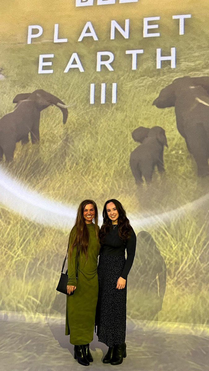 Megan McCubbin tweet media