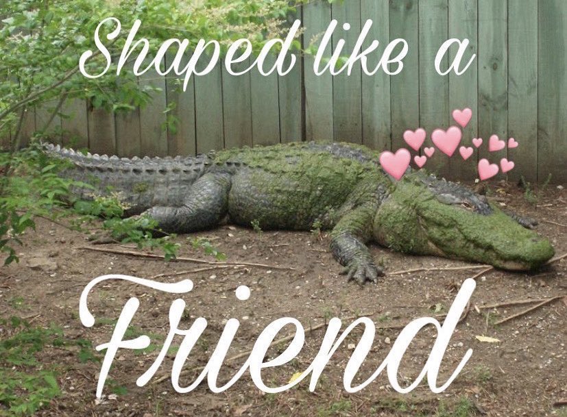 Everyone needs a friend :,)