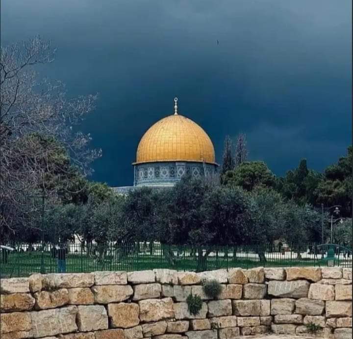 وف ليلة الجمعة
اللهم اجعل لأهل فلسطين النصرة والعزة والغلبة والقوة والهيبة في قلوب أعدائهم ، اللهم أستودعناك فلسطين شعبها وسماها وأرضها وبحرها وأهلها، جنودها، شبابها ، نساءها، أطفالها، اللهم احفظ إخواننا في فلسطين بحفظك وأيدهم بنصرك ♥️🤲🏻