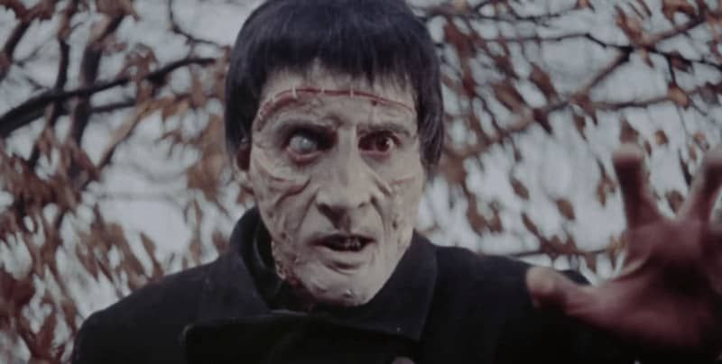 rejectnation's tweet photo. There is no actor in horror more iconic than Christopher Lee. For #31DaysOfHorrorLists we rank the 10 best films from Lee’s impressive resume: https://t.co/vJTghDKEW4 https://t.co/Iedy8pSklQ