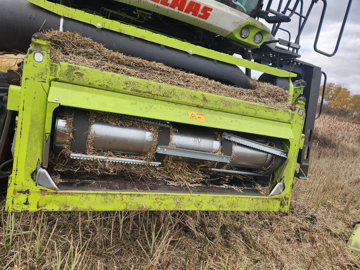 Chuck Deluxe tweet media