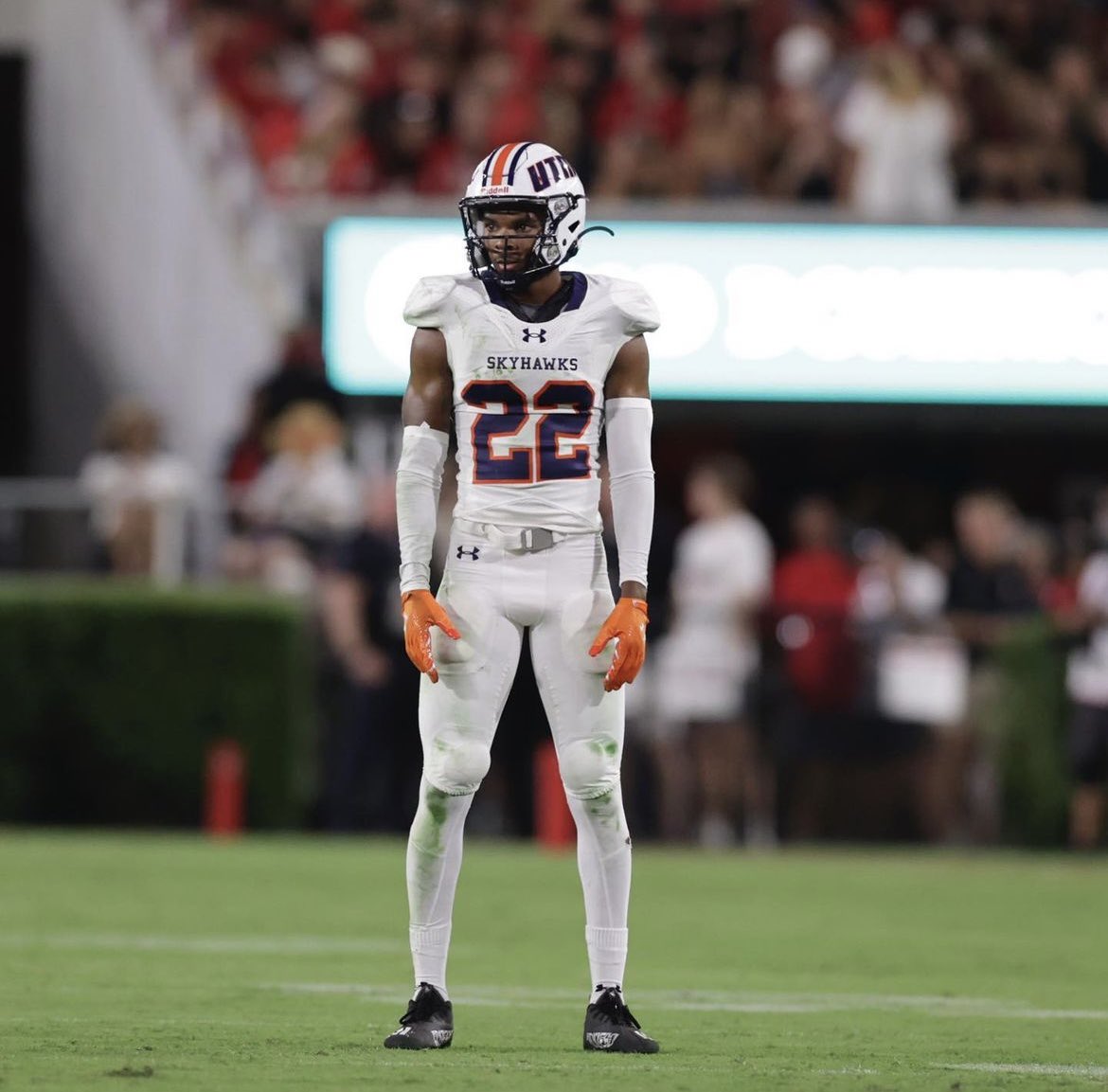 Ryan Nolan💰 tweet media