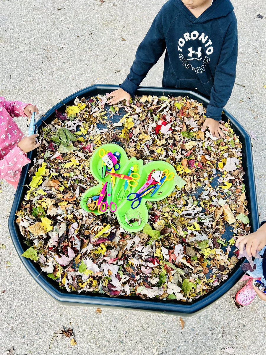 Kaitlyn Cunningham tweet media