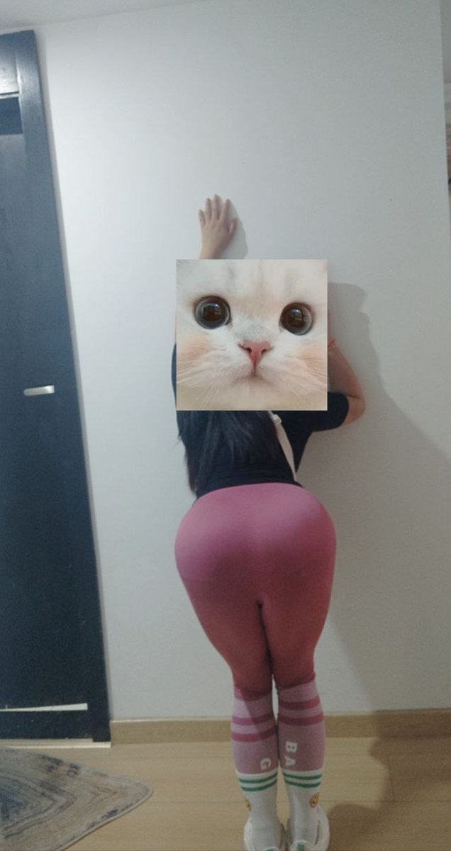 Ray_0774 tweet media