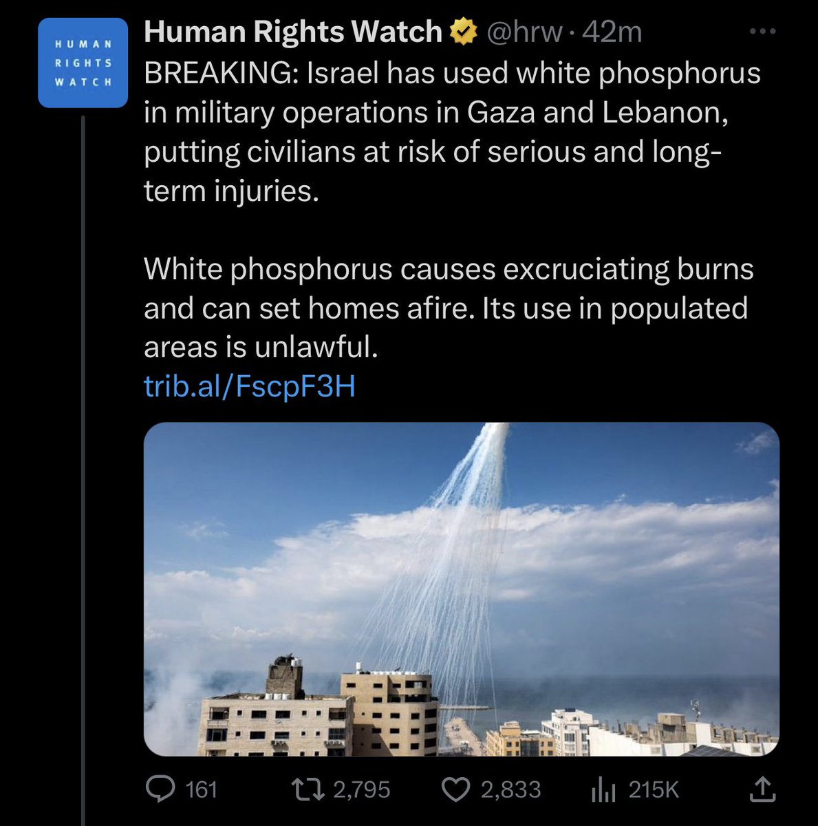 🇵🇸🇱🇧🇮🇱 Human Rights Watch confirm Israel’s use of white phosphorus in Gaza and Lebanon.