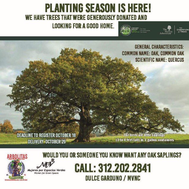 cowchicago's tweet photo. Trees are available for planting! https://t.co/C9rViXtNZU
