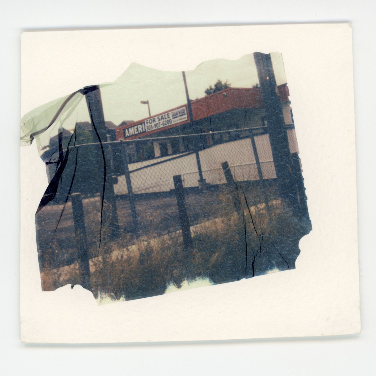 KOTOROROCKS's tweet image. finally got around to scanning a bunch of my lifts and these are my favs so far uwu

#polaroidi2 #altprocess