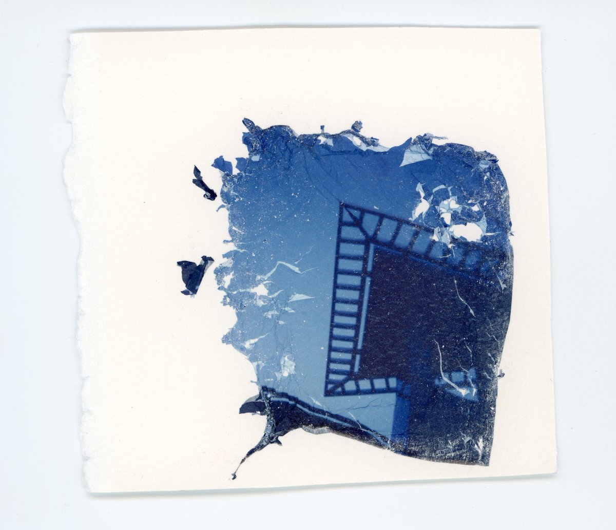 KOTOROROCKS's tweet image. finally got around to scanning a bunch of my lifts and these are my favs so far uwu

#polaroidi2 #altprocess