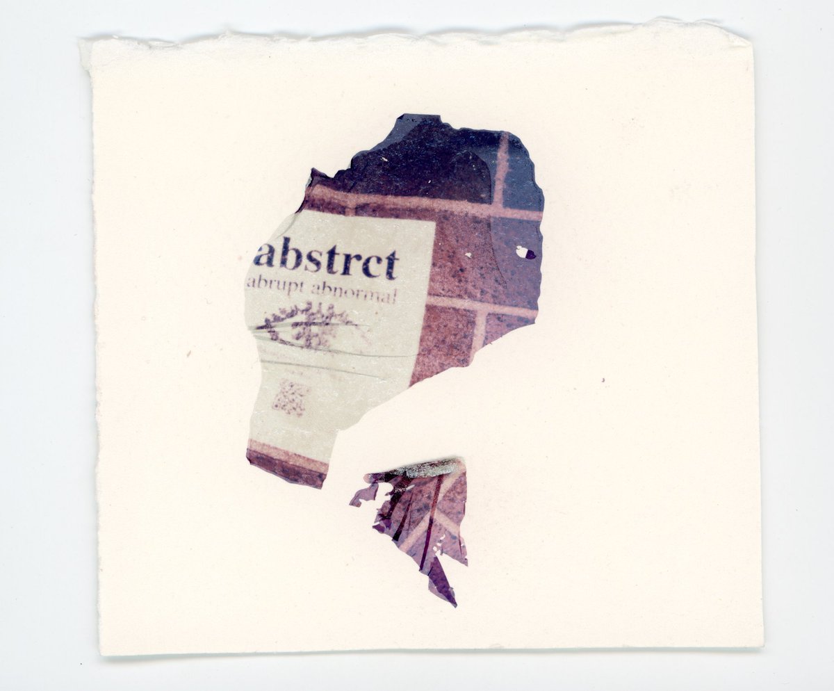 KOTOROROCKS's tweet image. finally got around to scanning a bunch of my lifts and these are my favs so far uwu

#polaroidi2 #altprocess