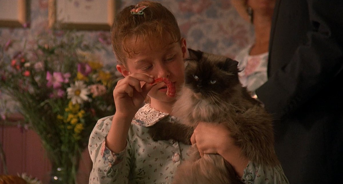 mjmansavage's tweet photo. Craving the shrimp from homeward bound. https://t.co/gMGf51gSV0