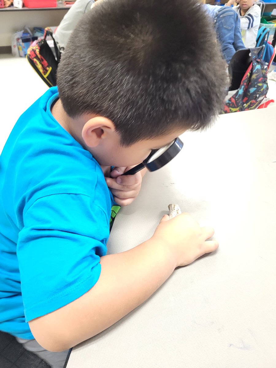 GisetKing's tweet image. Rocks rock! We started our rocks  unit. Students observed  rocks  and used words related with size, color and texture  to describe the rocks.
#prekscience #duallanguage