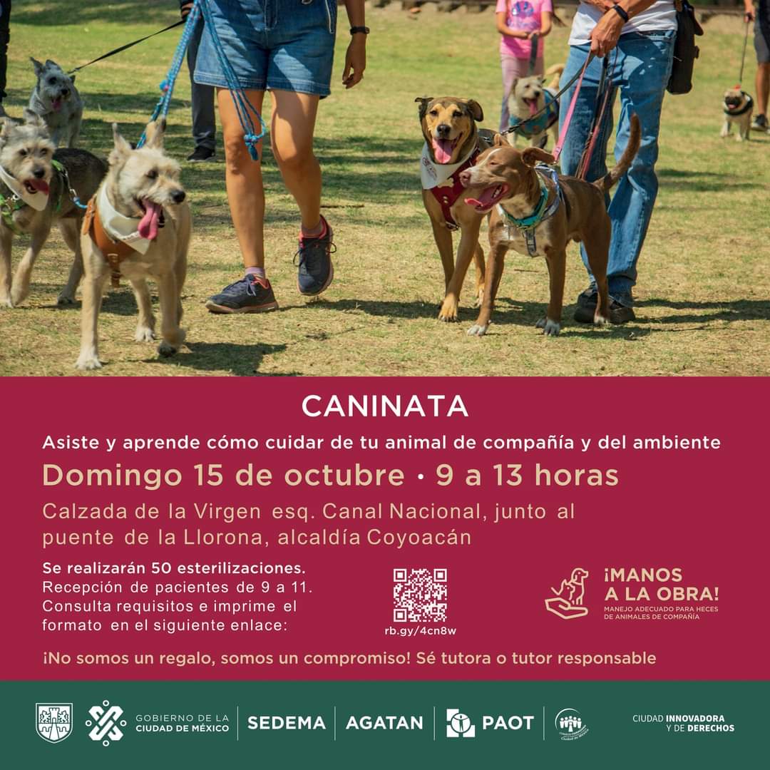 PAOTmx's tweet photo. Este domingo te invitamos a la #Caninata que organiza @SEDEMA_CDMX. Habrá Jornada de Esterilización de 🐶 y 🐱. Brindaremos orientaciones sobre #MaltratoAnimal.
📍 Clz. de la Virgen esq. Canal Nacional, junto al puente de la Llorona, #Coyoacán.
🗓️ 15 de octubre.
⏰ 9 a 13 h https://t.co/SOJipJnAQ3
