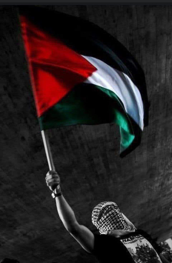 aldubaiy7's tweet photo. #غزة_الآن https://t.co/nQ8tRDTLs1