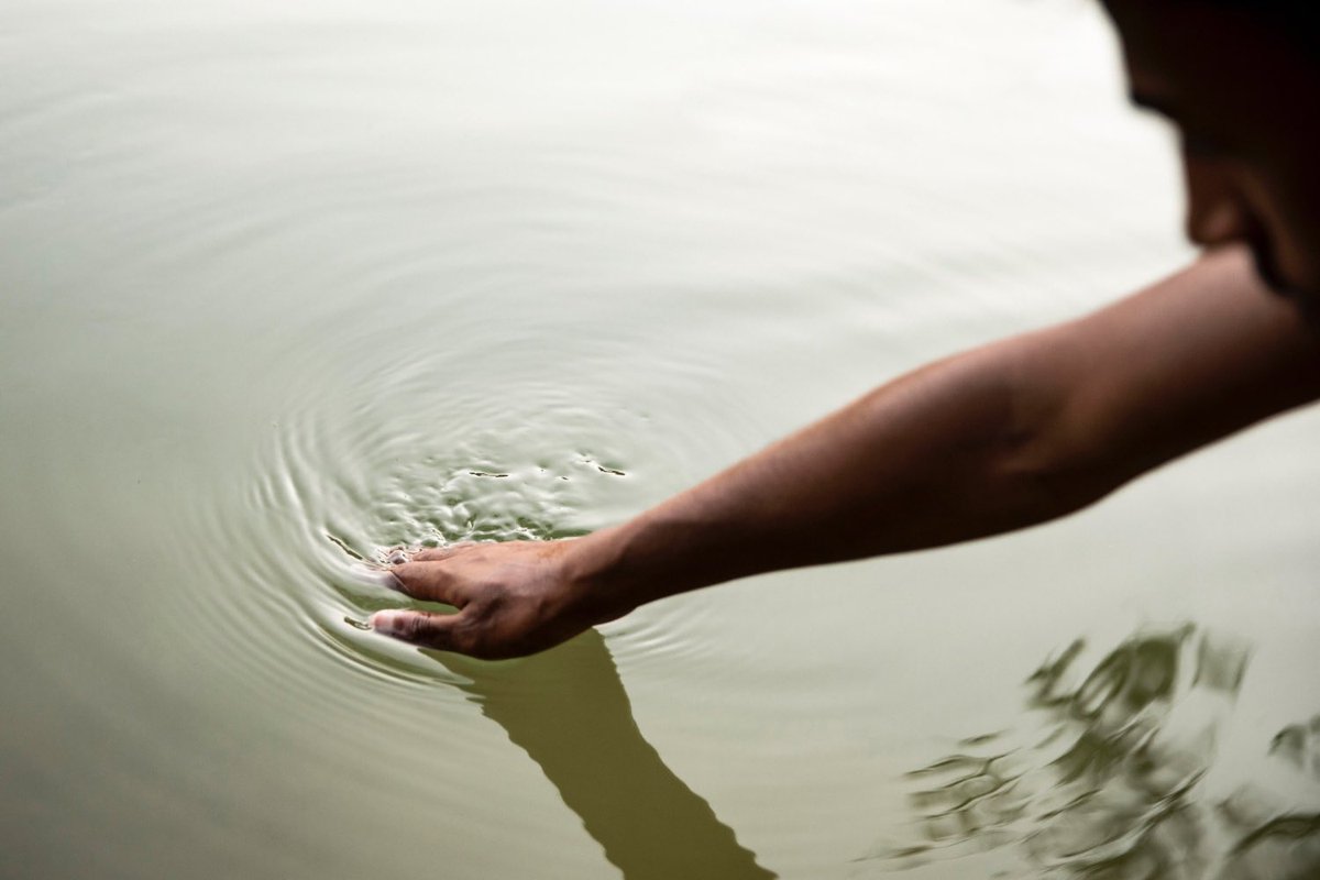 rafaegeatuitea's tweet photo. El pescador que batía el agua

Un pescador se hallaba pescando en un río. Y, cuando tendió las redes y abarcó la corriente desde todos los lados, batía el agua con una piedra atada a una gruesa cuerda, para que los peces, al huir, inevitablemente cayesen en ellas. https://t.co/bGk47Jt1XU