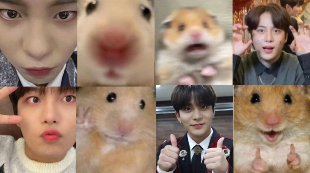 24/7 jongho tweet media