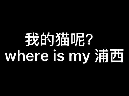 不是，我的推上现在为啥都是小猫啊，我要的pussy不是这个pussy。