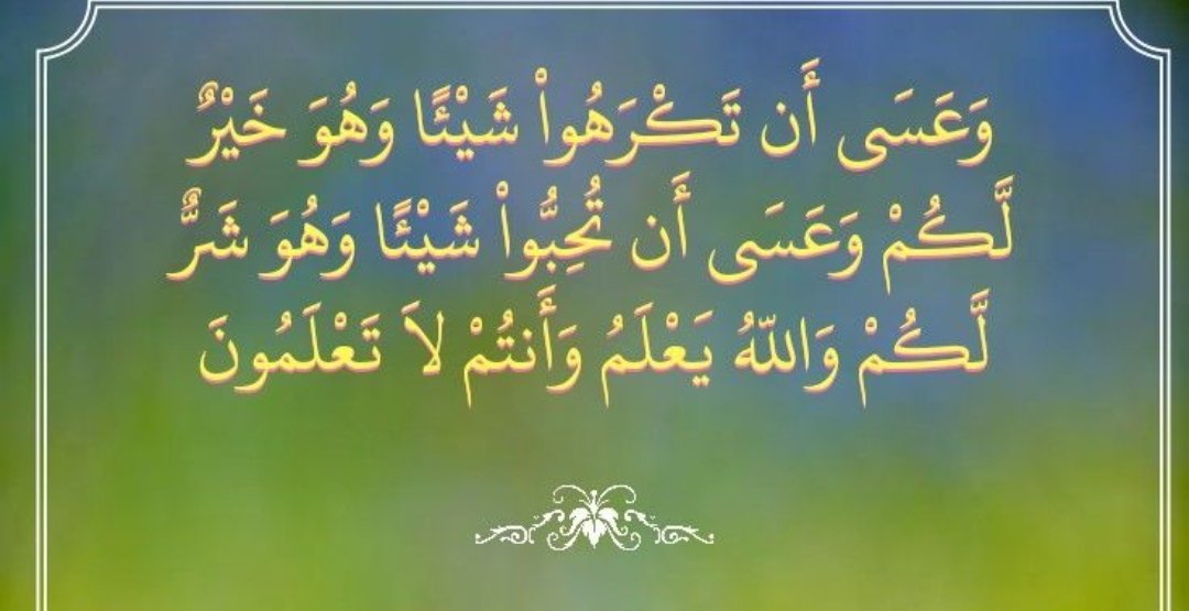 RJabbad's tweet photo. https://t.co/5A97GLiVLD
