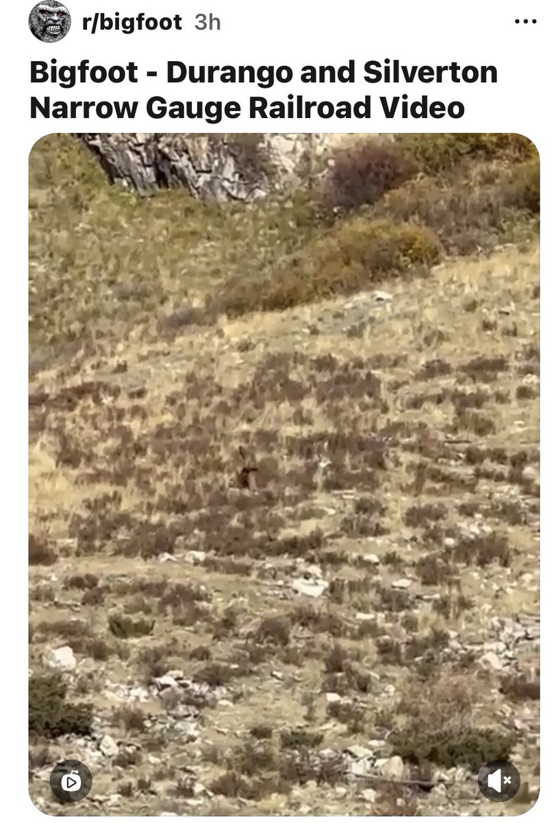 BobtailinBern's tweet photo. @outthereco Person in camo this time, I don’t think he was trying to pretend to be seen as Bigfoot… just a hunter getting his groove on! https://t.co/Czjv9aY1lG