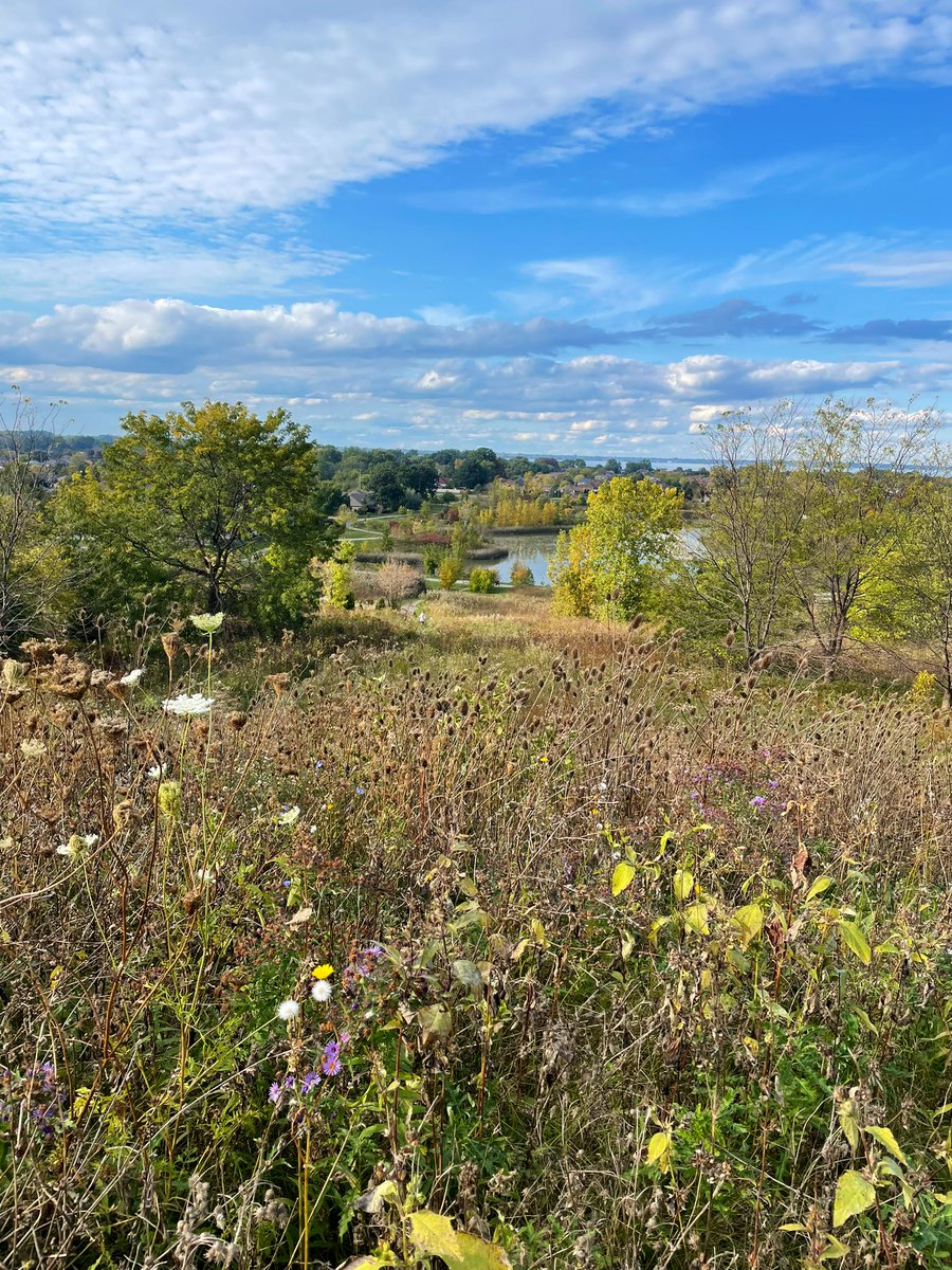 MsBabic's tweet photo. Just as George Eliot writes: “Is not this a true autumn day? Just the still melancholy that I love - that makes life and nature harmonize.” 🍁~ #fallincanada #YQG https://t.co/KZ2Fs7cv6f