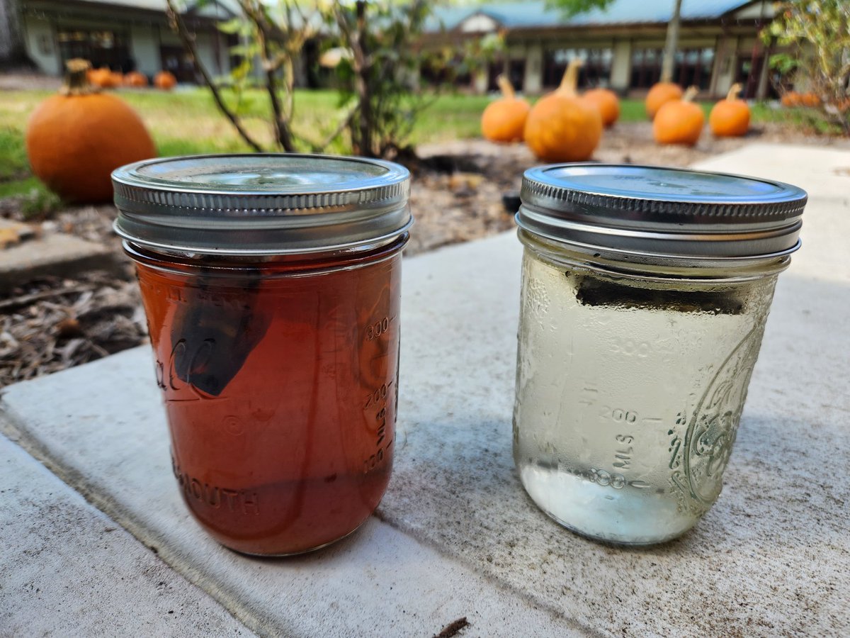 Ginger Allen tweet media