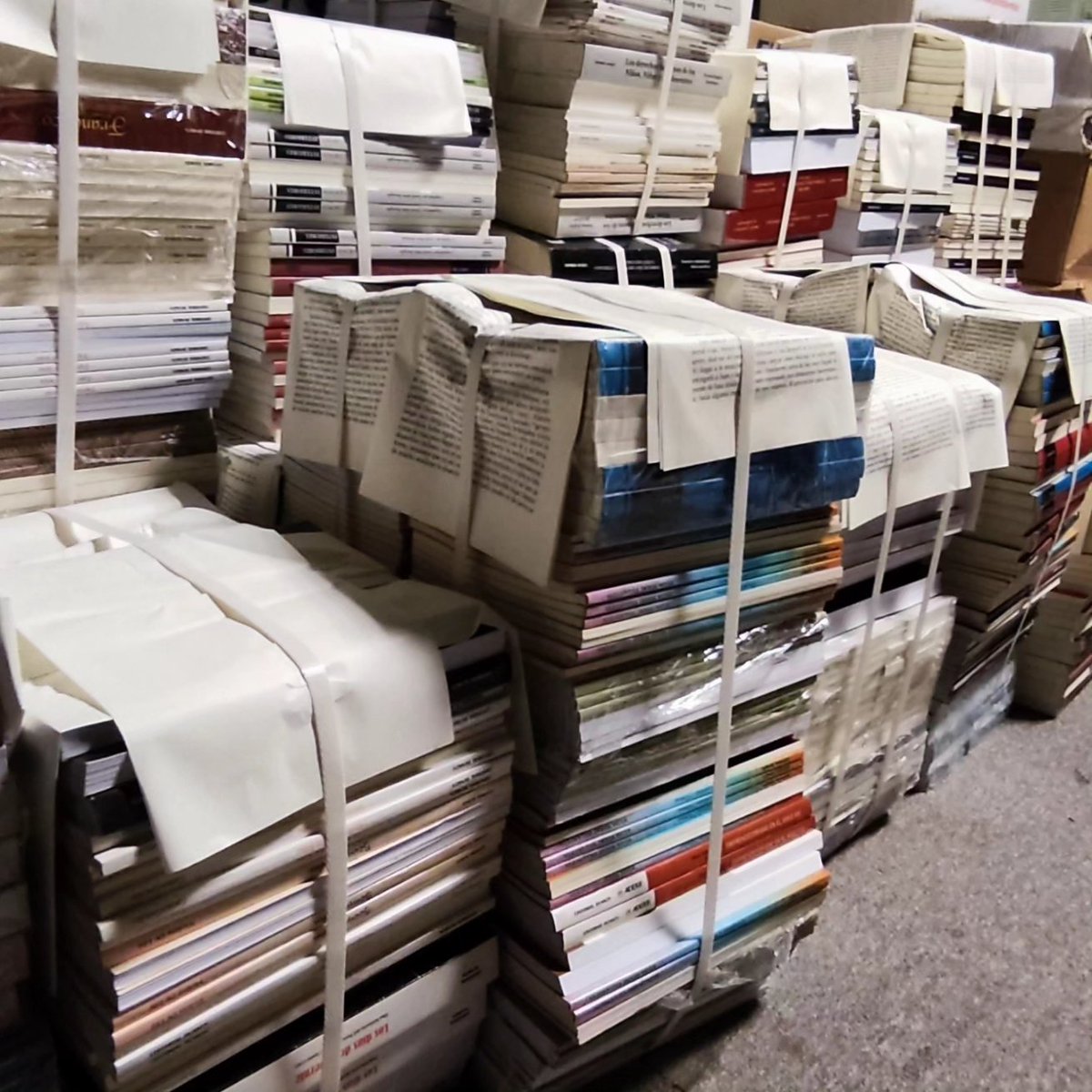 ¡Agradecemos a Editorial Dunken por donar libros a nuestra fundación! 📚💙 Juntos hacemos la diferencia en la promoción de la lectura. ¡Gracias!  #DonaciónDeLibros #EditorialDunken #ArgentavisFundación #GraciasDunken