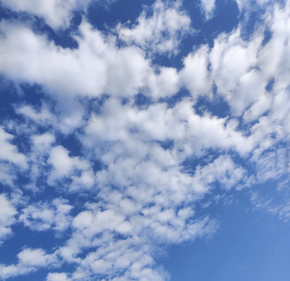 Busted Ride Daily Vanity Plate Ideas tweet media