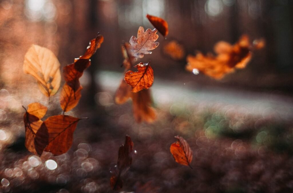 OmahaCarTrans's tweet photo. We Are Happy To Give Your Car The Preparation You Need To Ship It During The Autumnal Season.
https://t.co/oxUYTjzZcN

#carshipping #autotransport #destinationcharge #FallSeason #FallShipping

Follow Us!        
Pinterest: https://t.co/uRr2YMbo7A
Facebook: https://t.co/irjedvzABg https://t.co/DXuwUShfeR