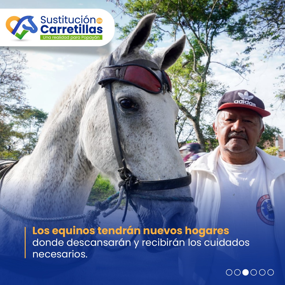 AlcaldiaPopayan's tweet photo. 👏🏻🐴 Creer nos permitió crear una Popayán animalista que respeta la vida, y hoy lo demostramos con la primera fase de la sustitución VTA. https://t.co/73zMysfUgF