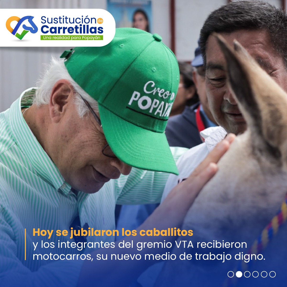 AlcaldiaPopayan's tweet photo. 👏🏻🐴 Creer nos permitió crear una Popayán animalista que respeta la vida, y hoy lo demostramos con la primera fase de la sustitución VTA. https://t.co/73zMysfUgF