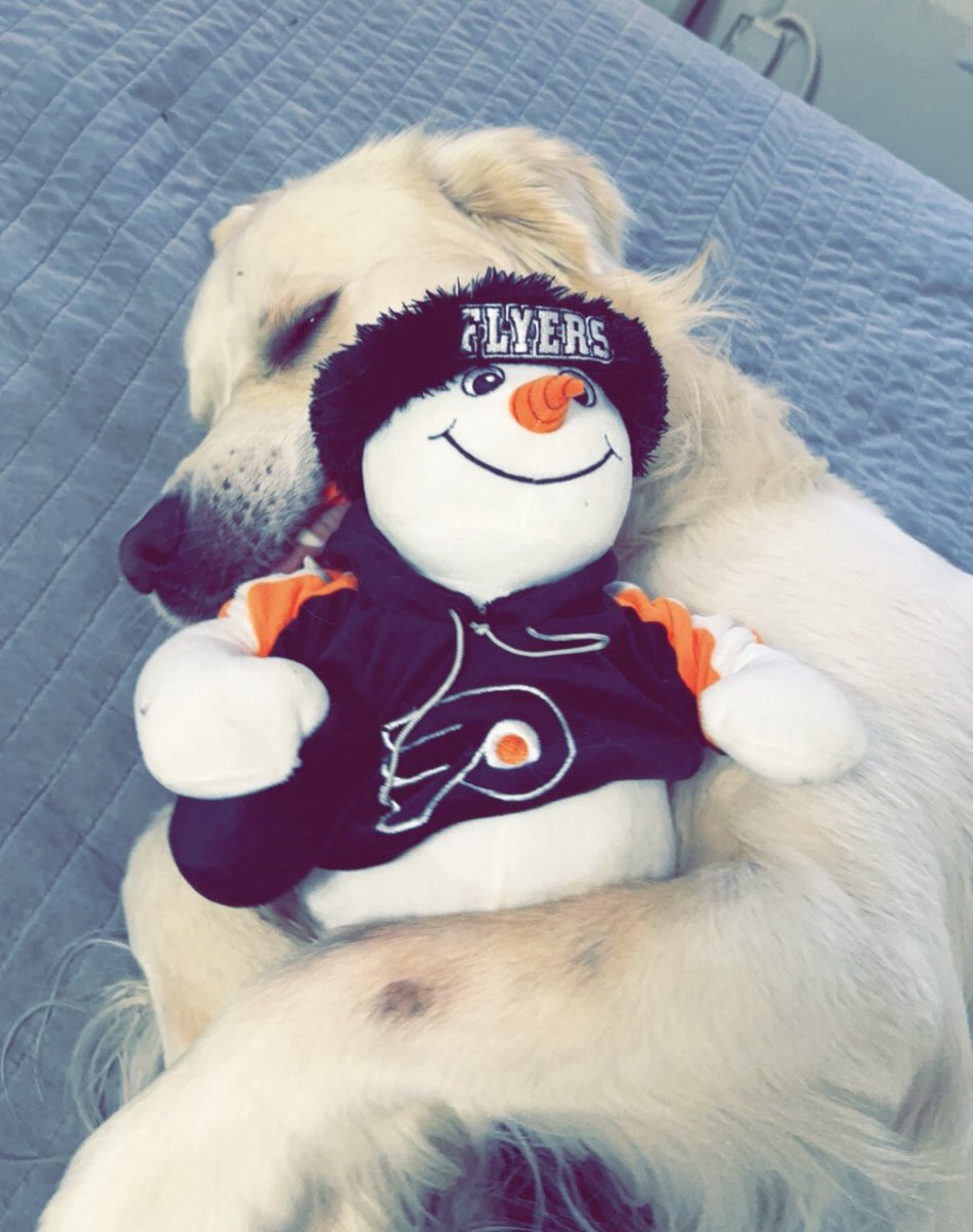 Scott T. tweet media