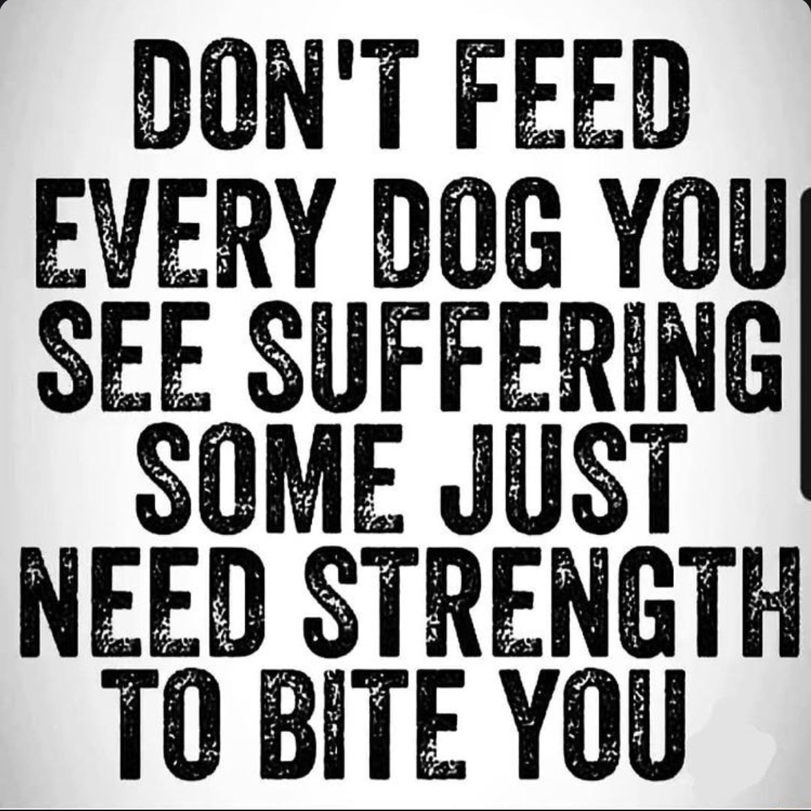 beeswaxcat's tweet photo. Too true https://t.co/3XQa8Iychk