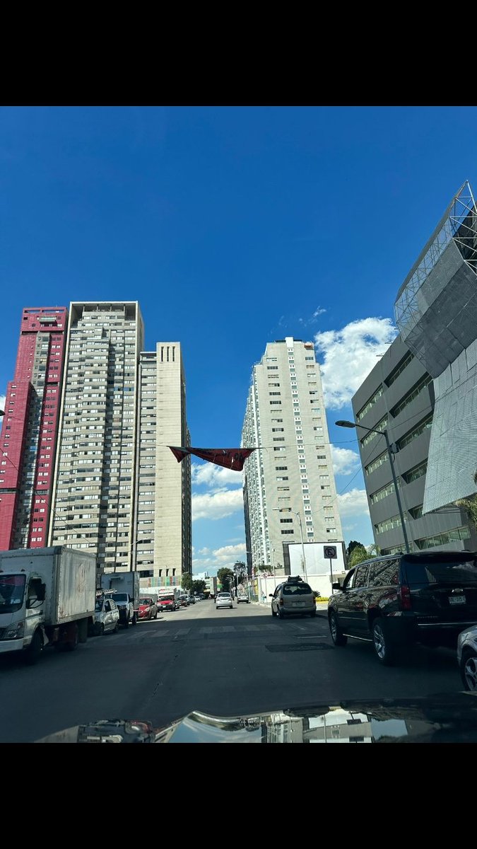 Umbral Polanco 🌳 tweet media