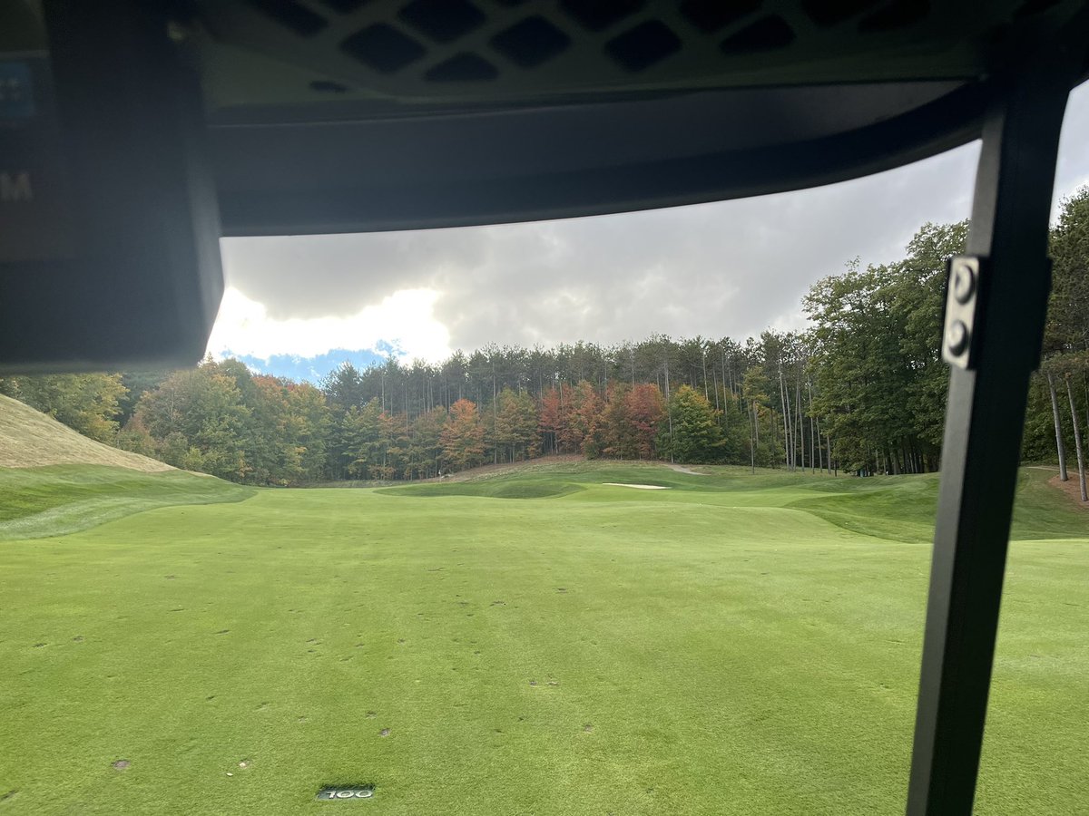 Anne Tervit tweet media