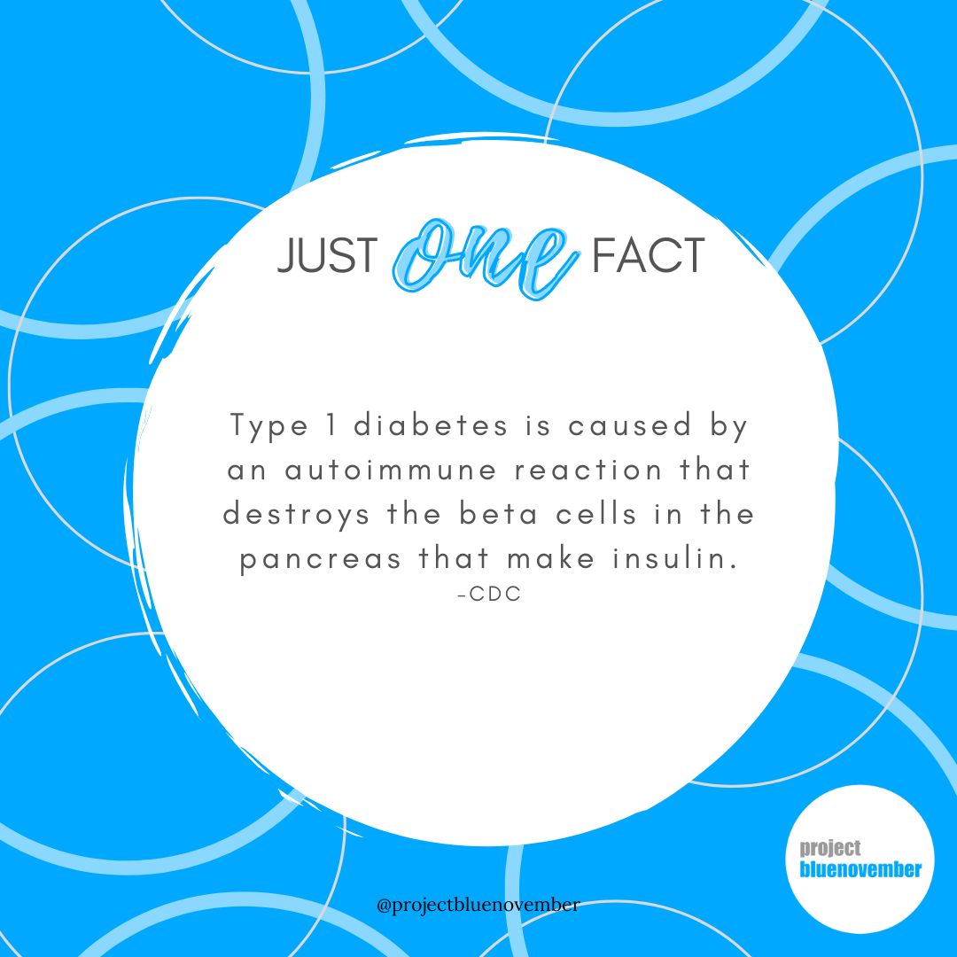 PBlueNovember's tweet photo. Day 1 - Retweet our daily fact throughout November!
#Advocate #NDAM #DiabetesAwarenessMonth https://t.co/WLevPIszrP