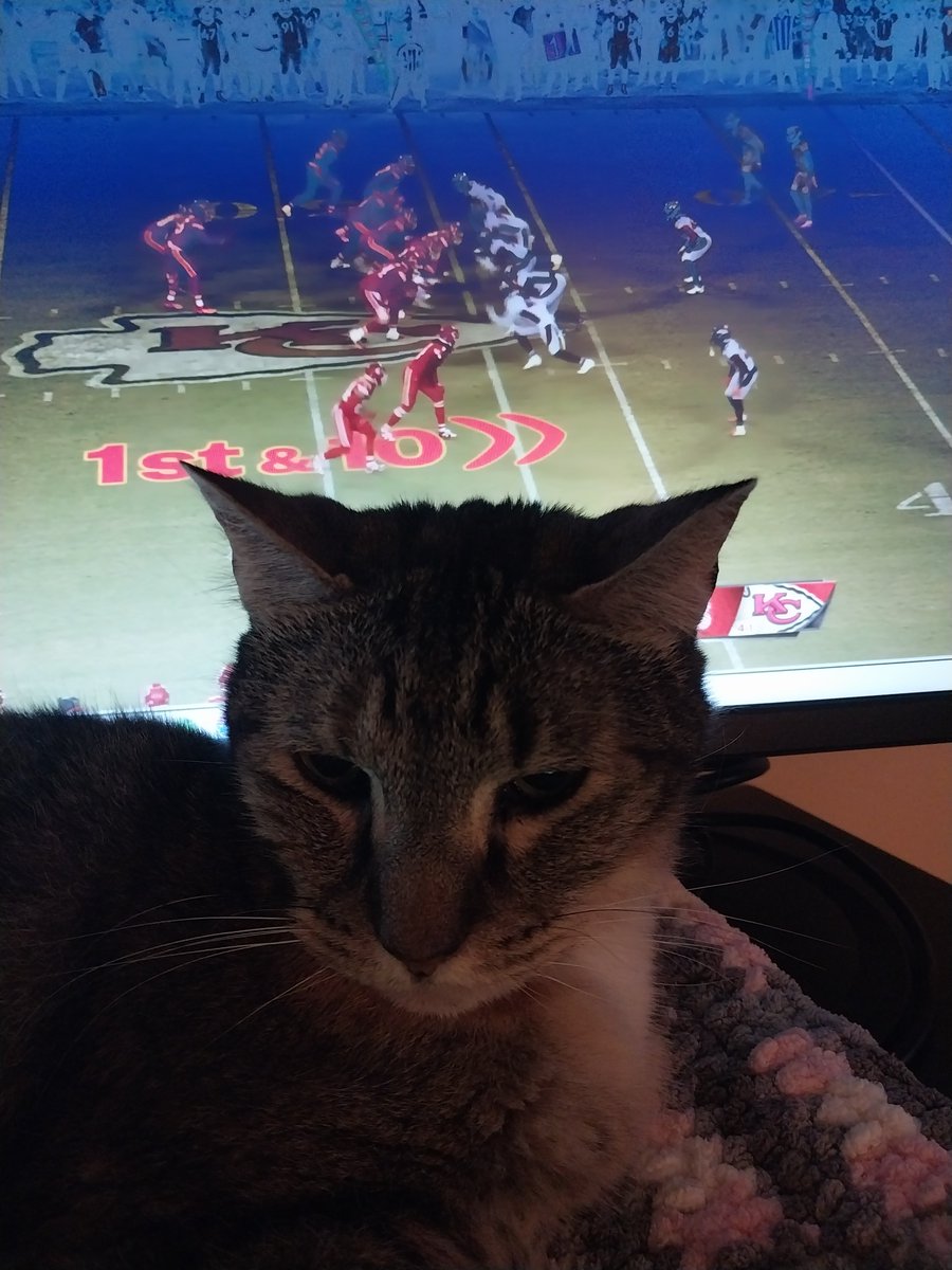 She insists on keeping her head up to block part of my screen.  She's probably trying to get me back to work instead of watching the game.