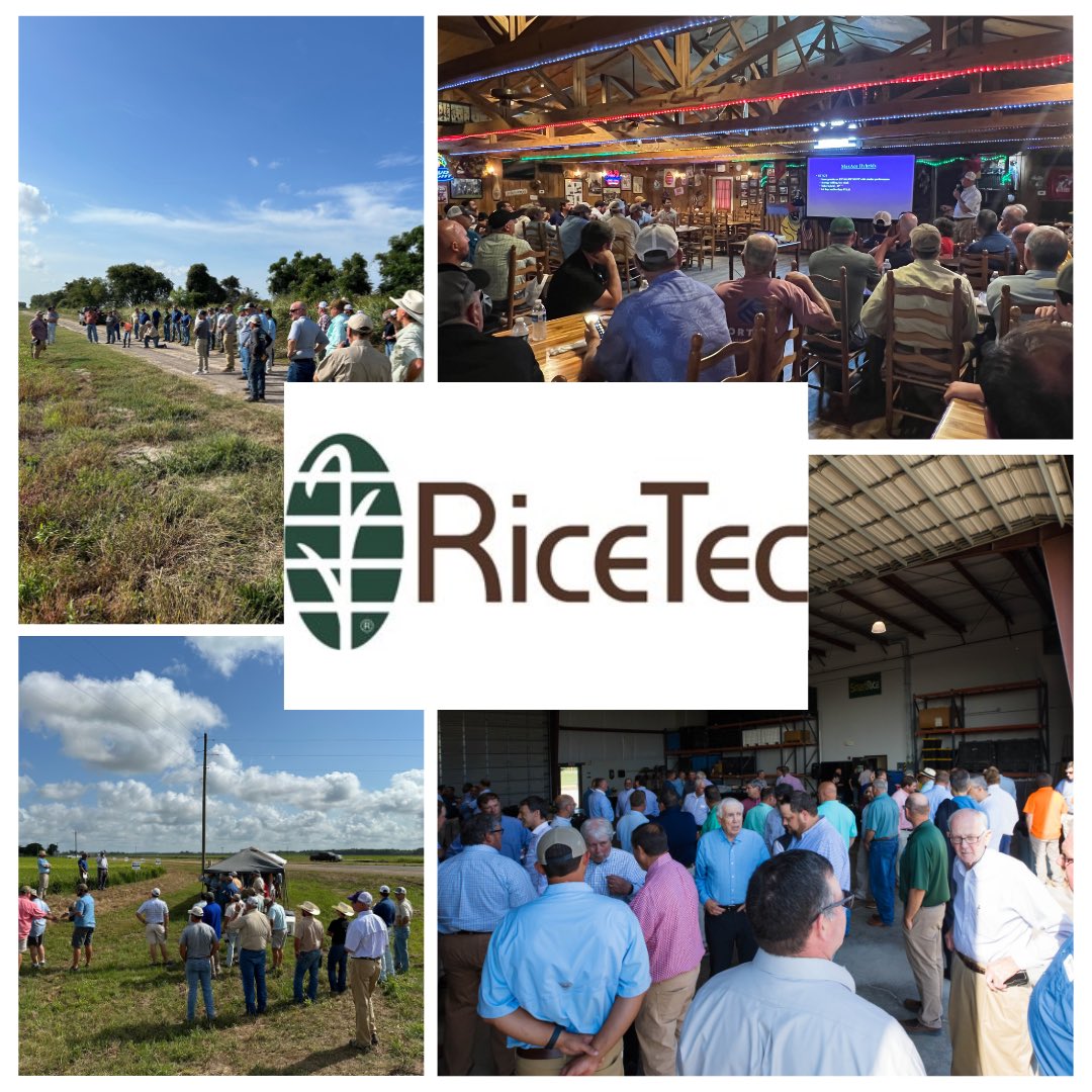 RiceTec_US's tweet photo. At RiceTec, we’re thankful every day for our customers! They work tirelessly to produce a nutritious and abundant rice crop, no matter the challenges each year brings. Happy National Farmers Day! #ricetec #ricefarming #farmers #nationalfarmersday https://t.co/p2I0ZMezfg