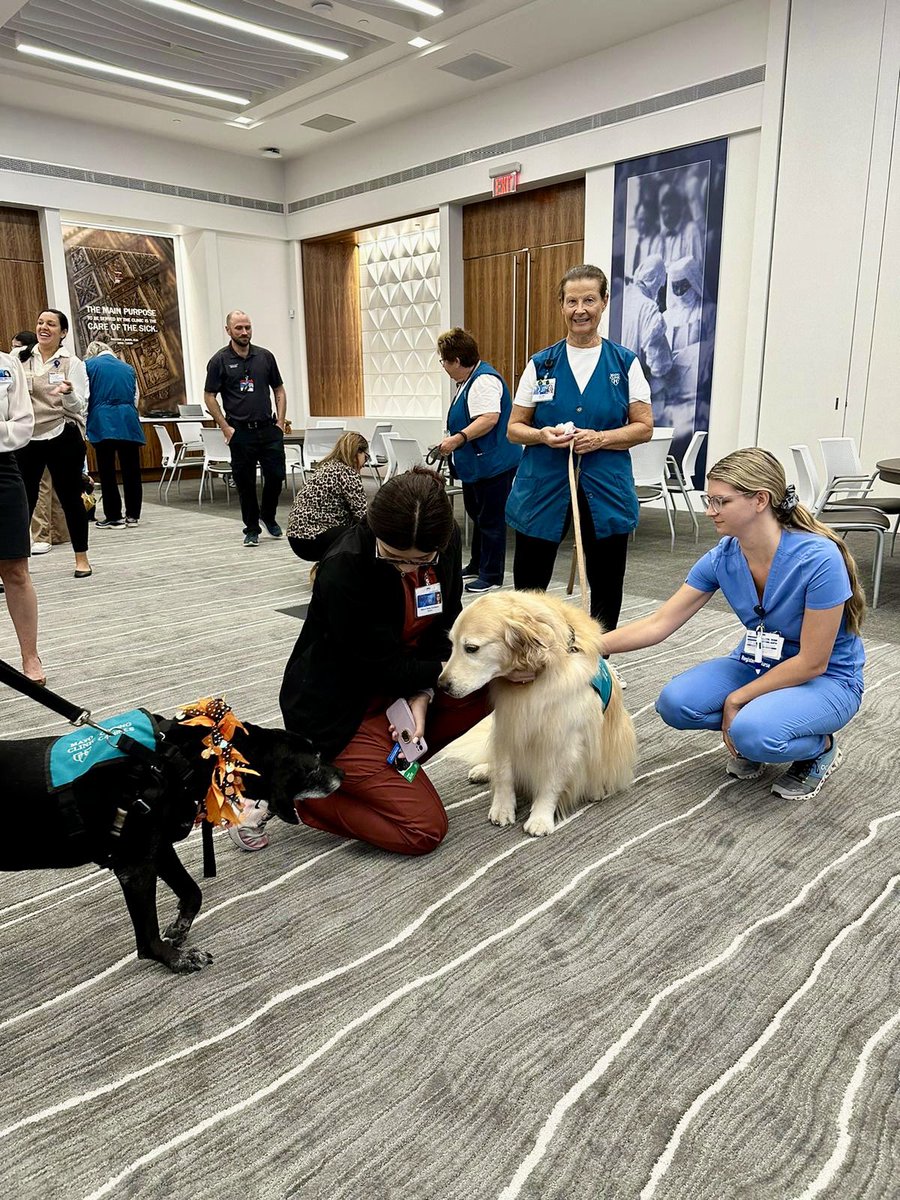 AllisonPerezR's tweet photo. 🐾Today celebrating the Anniversary of the Caring Canines🐕 at @MayoClinic
Adorable companion that brings therapeutic effects!
From emotional support, to relieve stress, increase social connections, encourage exercise and improve cardiovascular health🩵💙
To our best friends! https://t.co/q4j4KRBPfH