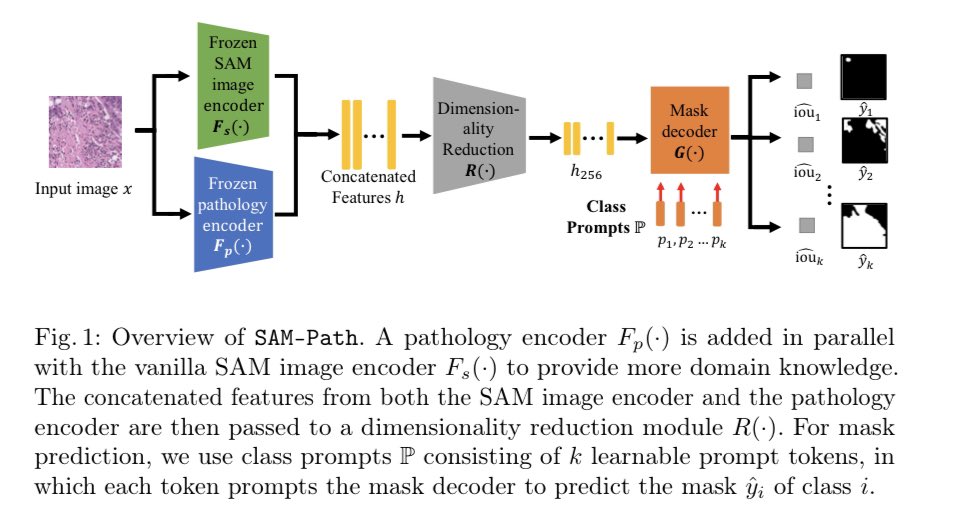 PrateekPrasana's tweet photo. #IMAGINELab at #MICCAI2023. Wrapping up a wonderful 4 days with our final presentation by Jingwei on adapting SAM for segmentation tasks in #DigitalPathology. @sbubmi @sbucompsc
Paper: https://t.co/ifjuaYUzuh https://t.co/XIyjNYLsH6