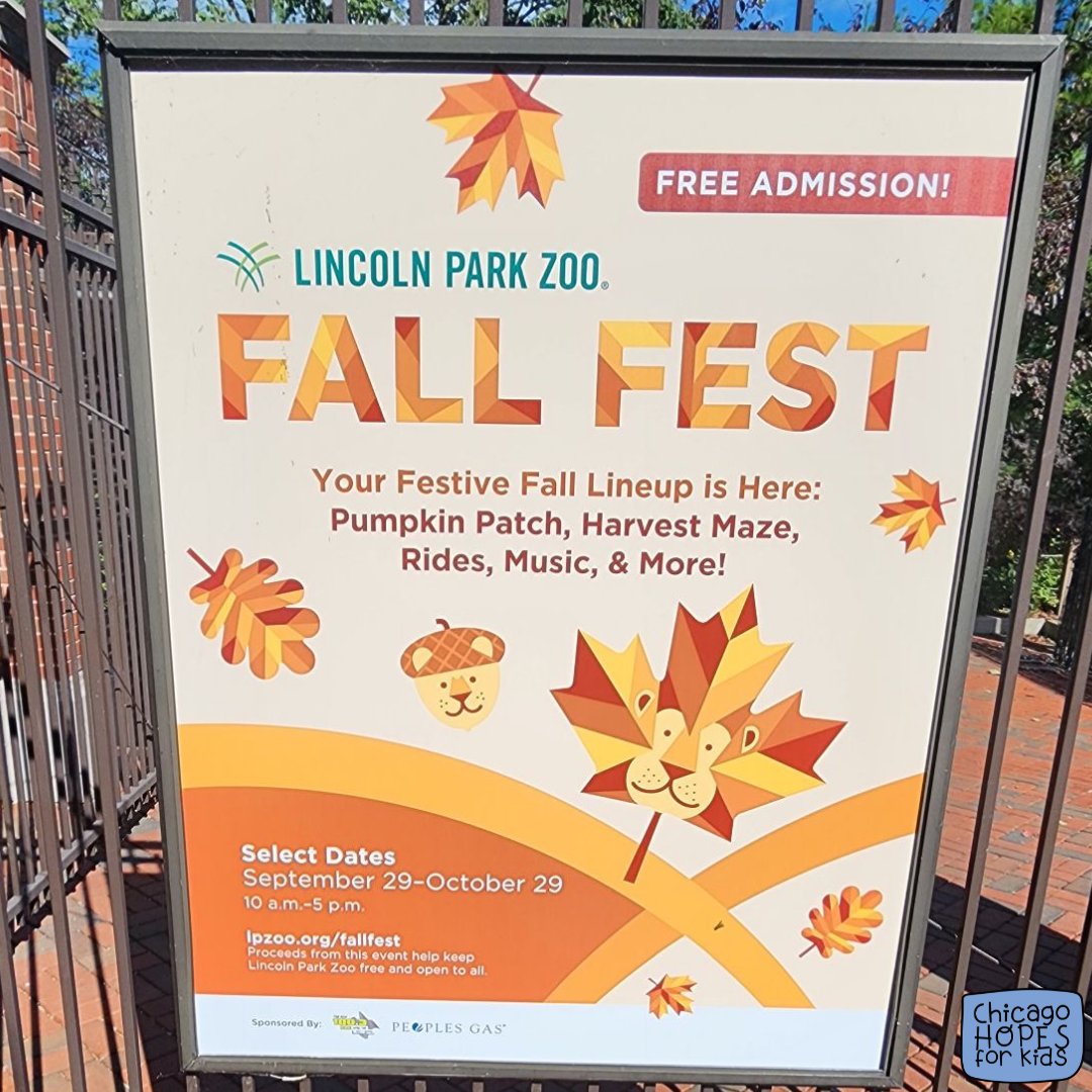 Grateful for the incredible day at Lincoln Park Zoo! 🙏🐾 Take a look at some of the memories we made! 🌟 #LincolnParkZoo