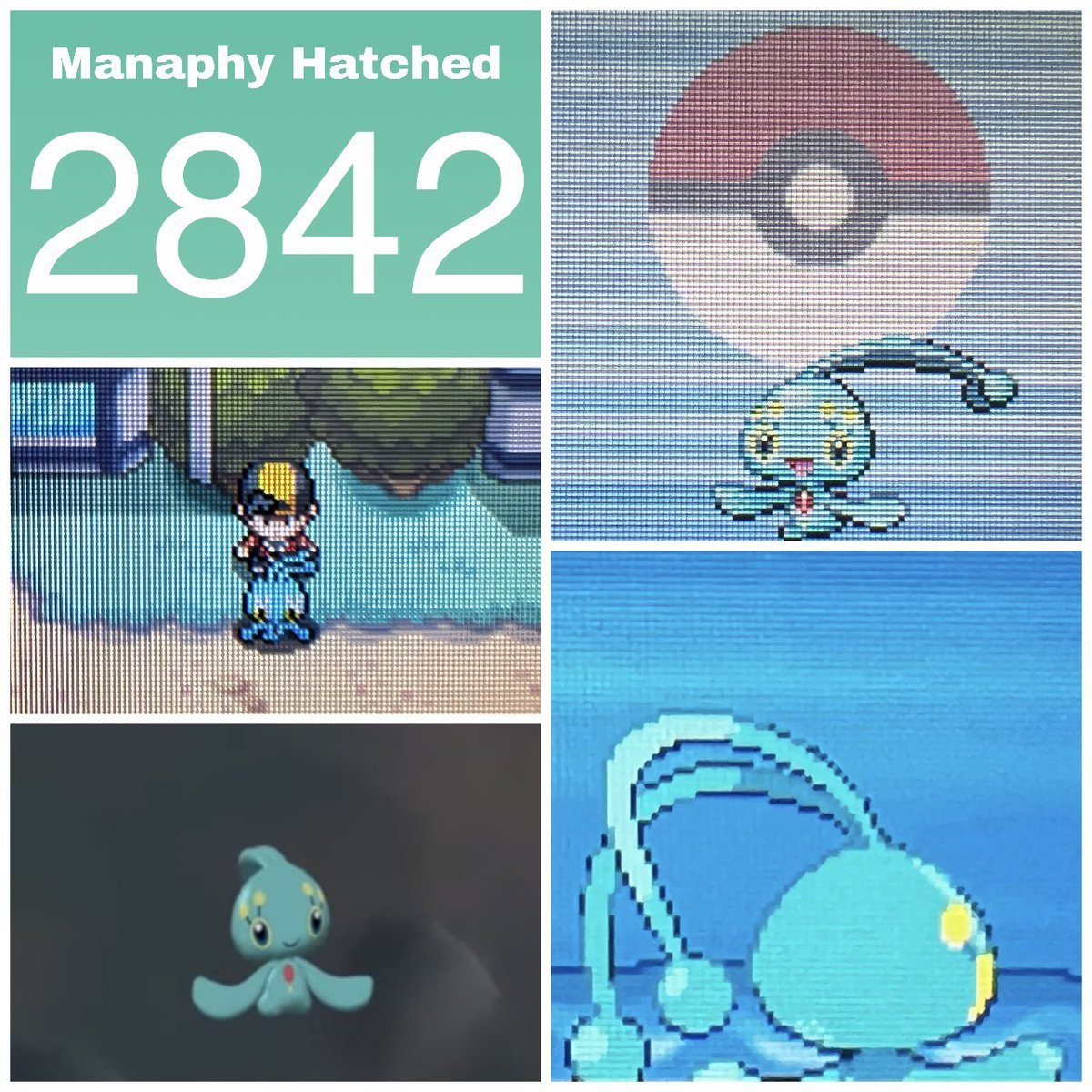 QuiteTheHoot's tweet image. I found a shiny Manaphy in 2,842 eggs!