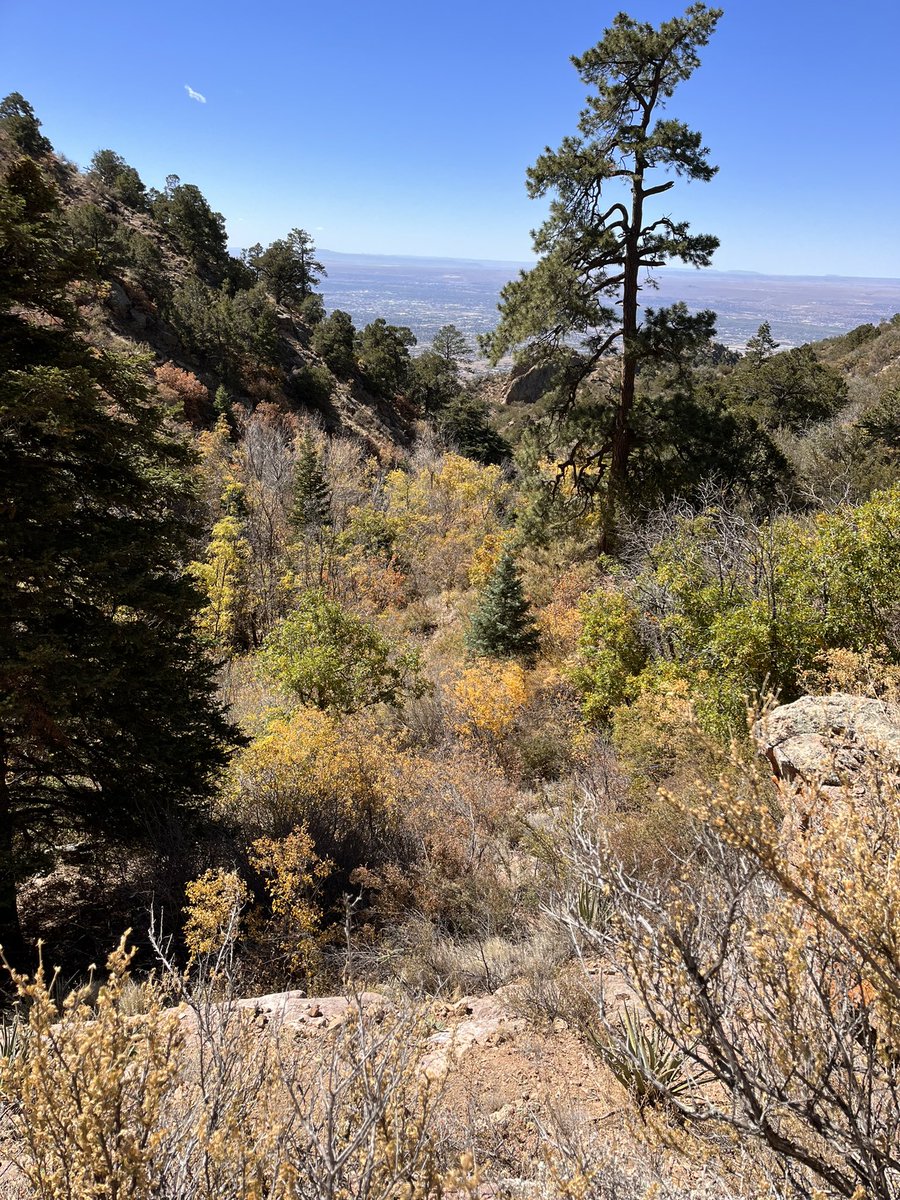 La Luz hike.