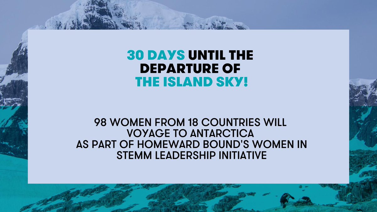 Homeward Bound tweet media