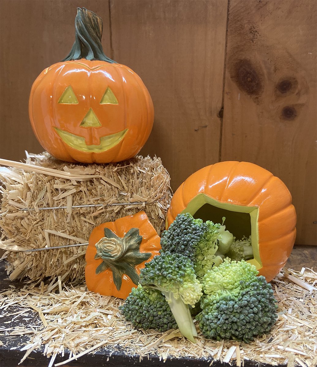 Pipes and stash boxes! smokebreakclay.com/shop